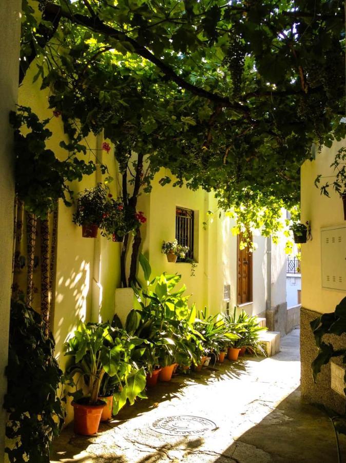 Casa Corasol, A Cozy, Comfy, 2Br House- Panoramic View And Rooftop Canar Extérieur photo